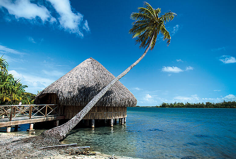 society-islands_Huahine_hut_culture_079.jpg