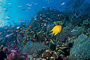 Relaxing time at the Lagoonarium