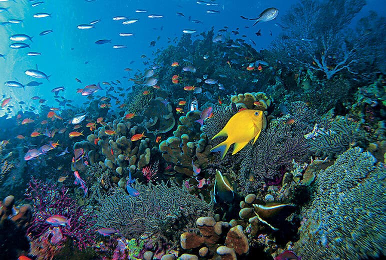 Relaxing time at the Lagoonarium
