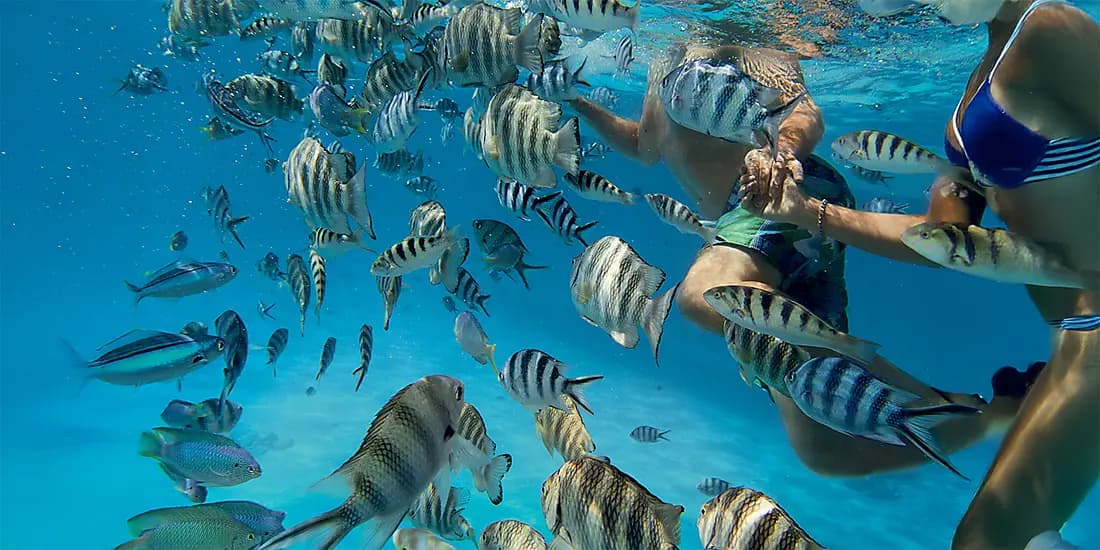 Society Islands & Tuamotus