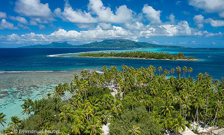 More Society Islands & Tahiti
