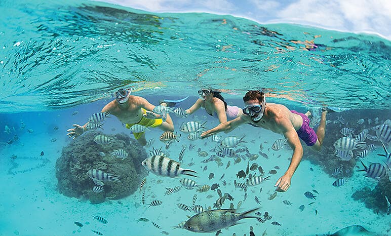 Immersive Indonesia: Singapore to Australia